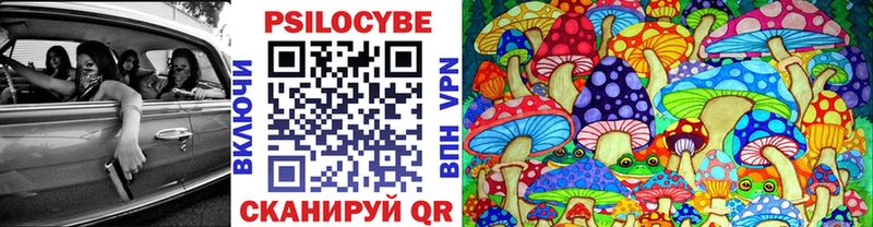 где купить наркоту  Алагир  Галлюциногенные грибы прущие грибы 
